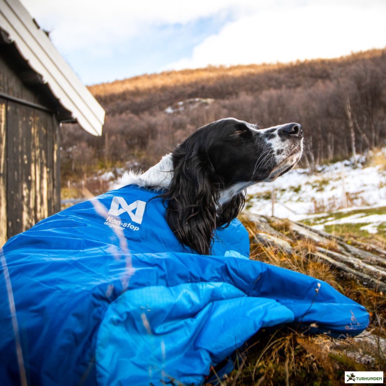 Non-stop dogwear - Sovepose LY