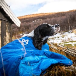 Non-stop dogwear - Sovepose LY