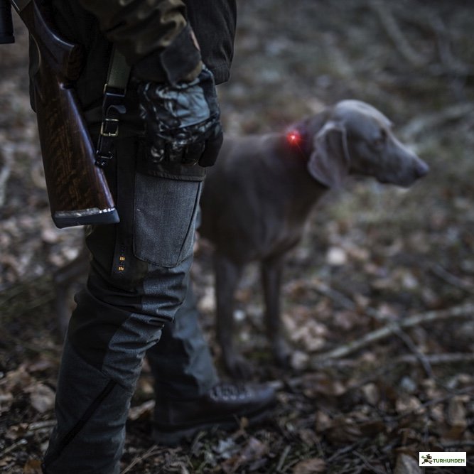 Orbiloc Dog Dual - Rd