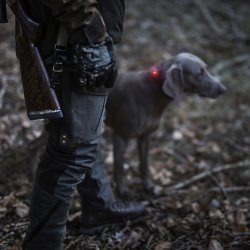 Orbiloc Dog Dual - Rd