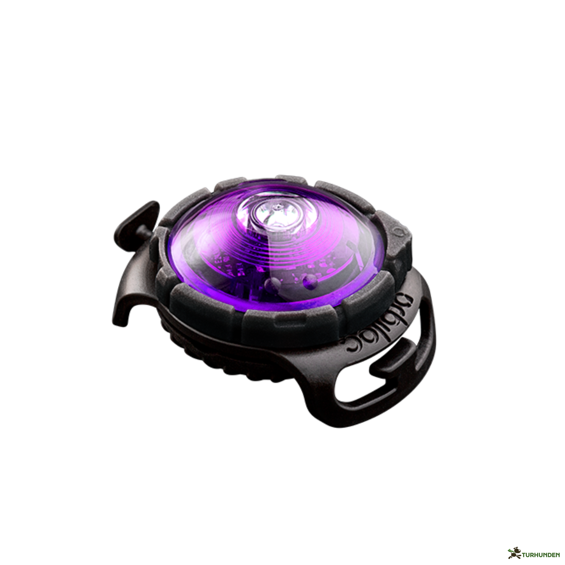 Orbiloc Dog Dual - Lilla