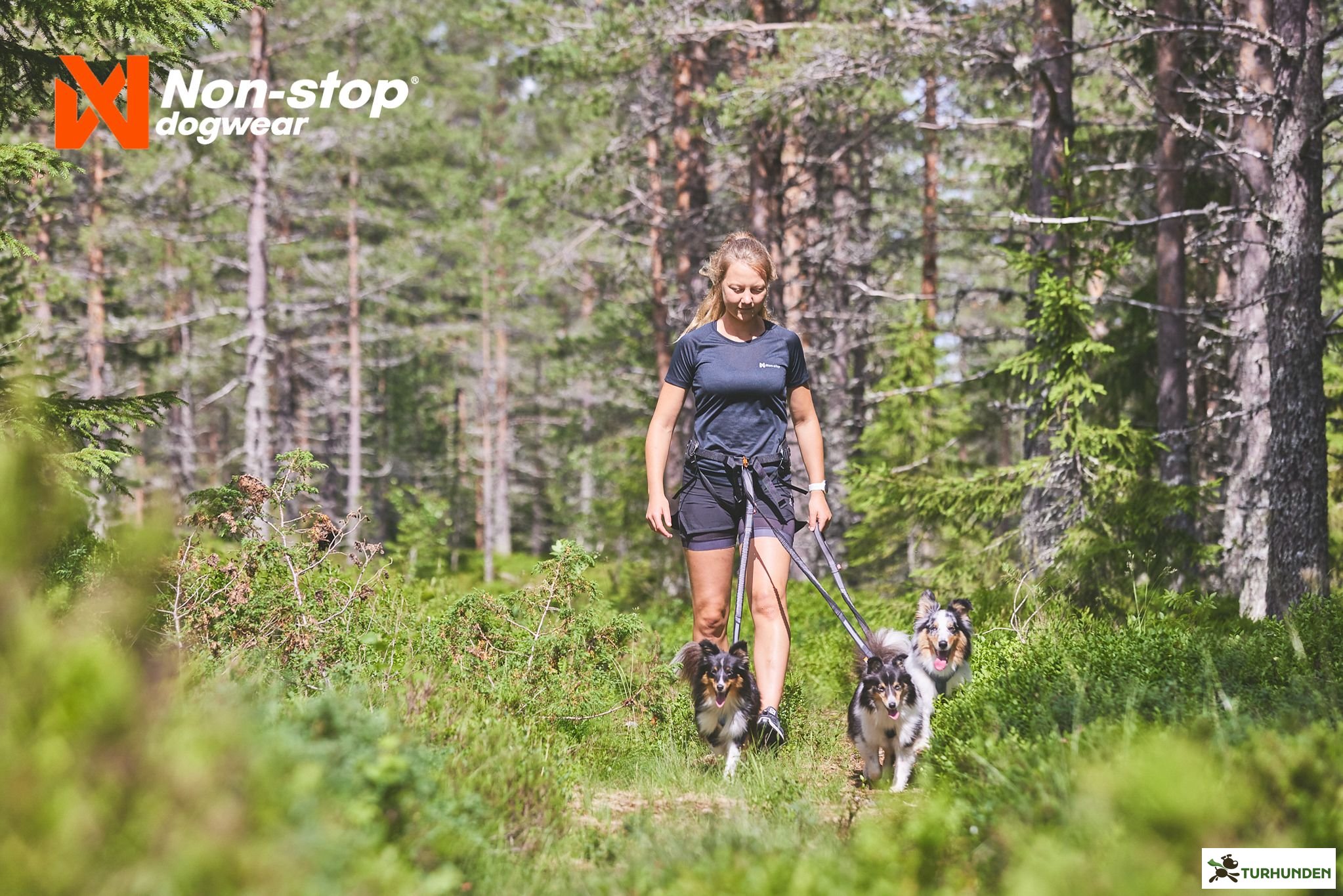 Non-Stop dogwear Line Harness 5.0