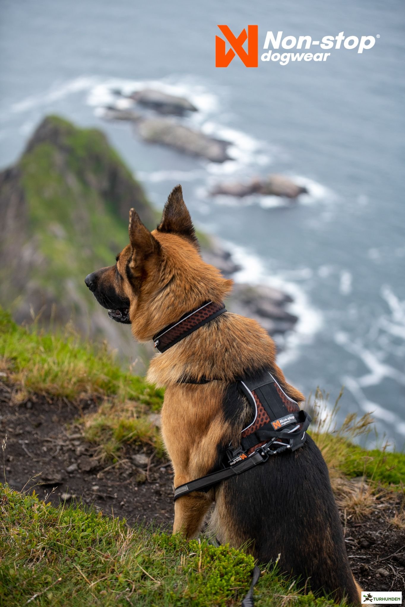 Non-Stop dogwear Rock Harness