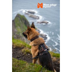Non-Stop dogwear Rock Harness