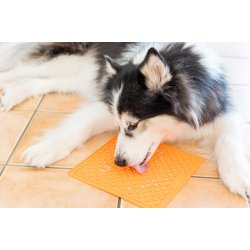 LickiMat Buddy Klassisk