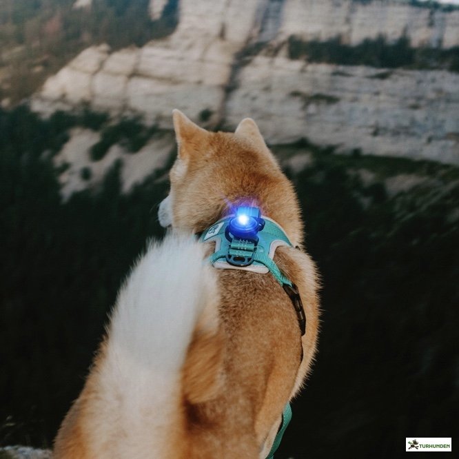 Orbiloc Dog Dual - Bl�