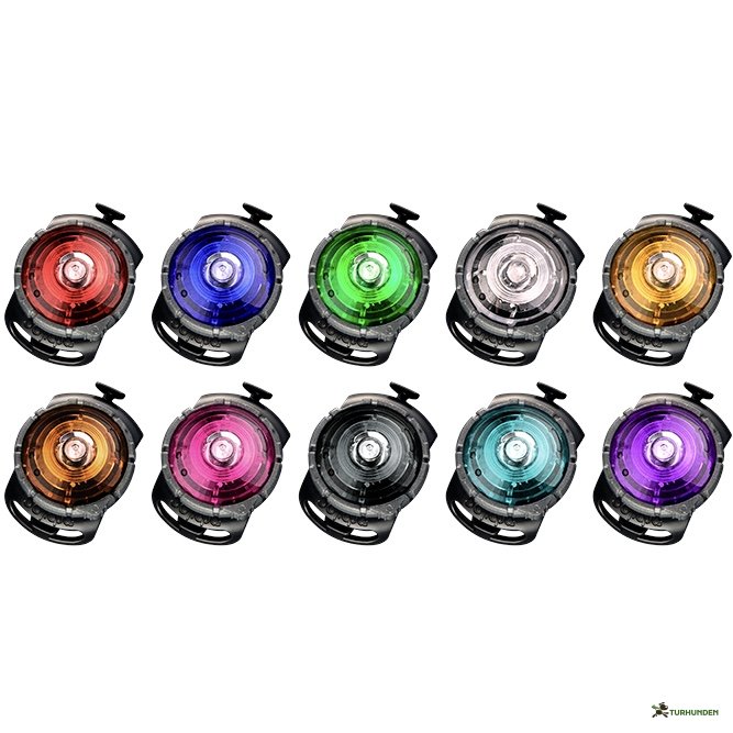 Orbiloc Dog Dual - Gold