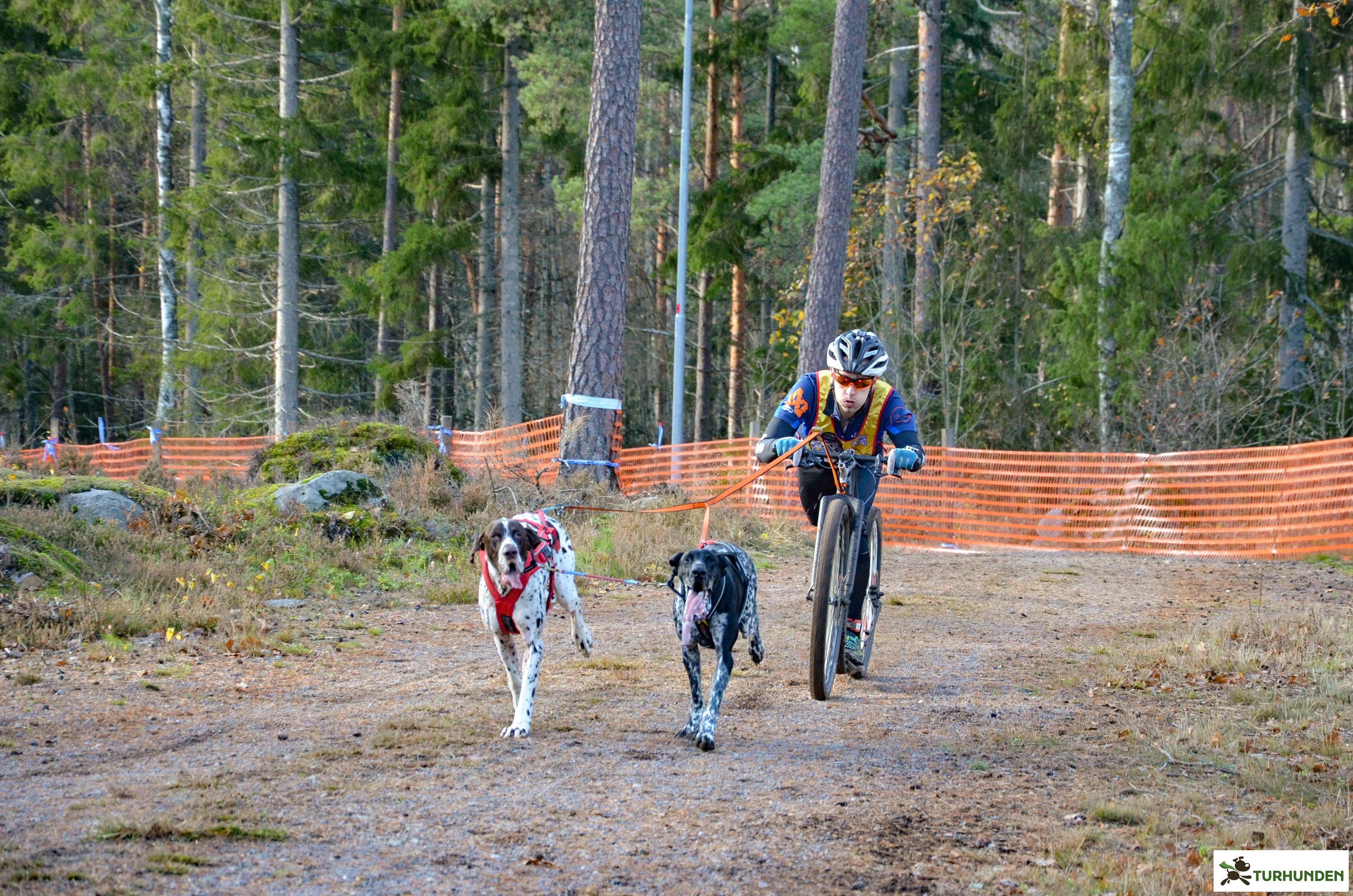 Non-stop dogwear Double Bungee Leash