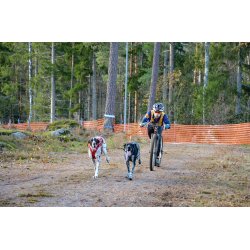 Non-stop dogwear Double Bungee Leash