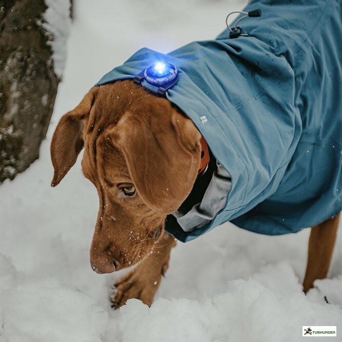 Orbiloc Dog Dual - Bl�