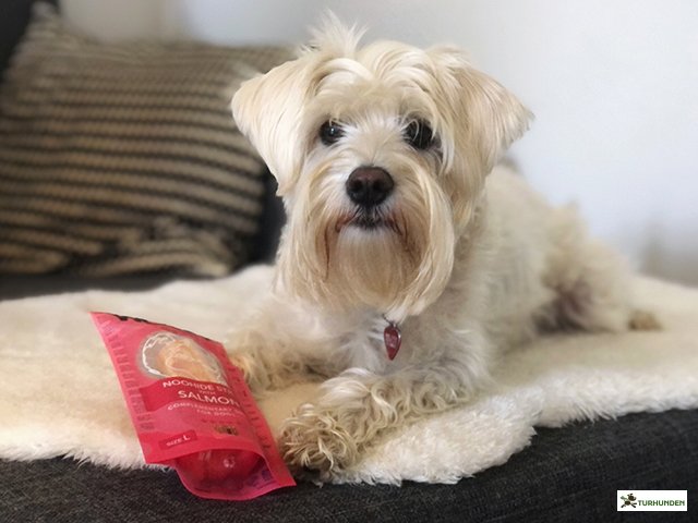 Woolf Earth Noohide - Salmon