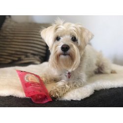 Woolf Earth Noohide - Salmon