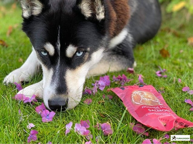 Woolf Earth Noohide - Salmon