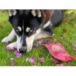 Woolf Earth Noohide - Salmon