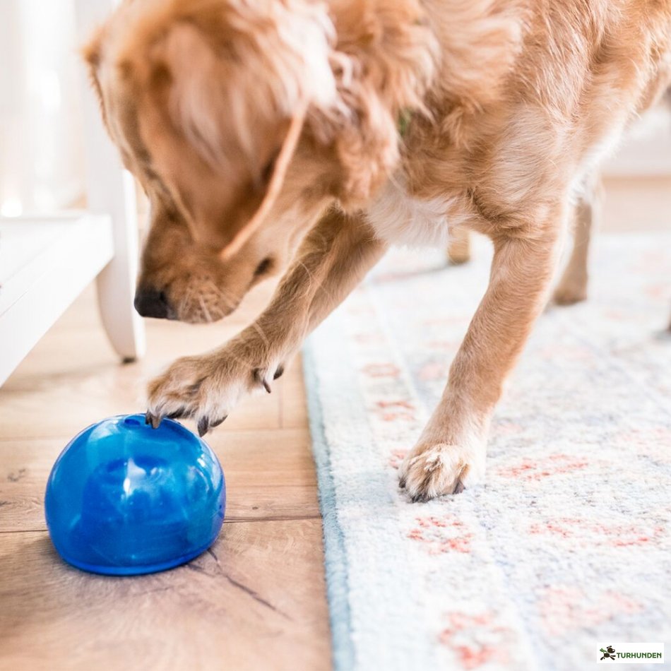 Outward Hound - Lil' Snoop