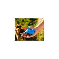 Ruffwear Trail Runner Bowl