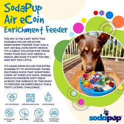 Sodapup ecoin air