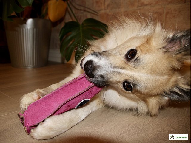 G&W -  Peggy the Pig