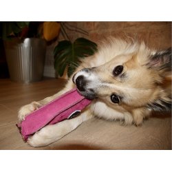 G&W -  Peggy the Pig