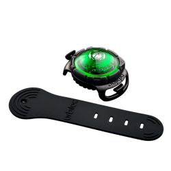 Orbiloc Dog Dual - Grn