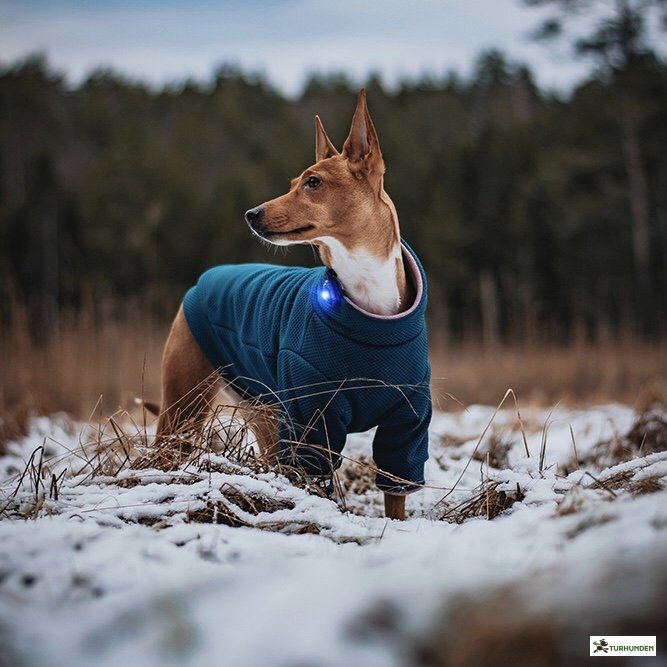 Orbiloc Dog Dual - Bl�