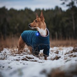 Orbiloc Dog Dual - Bl�