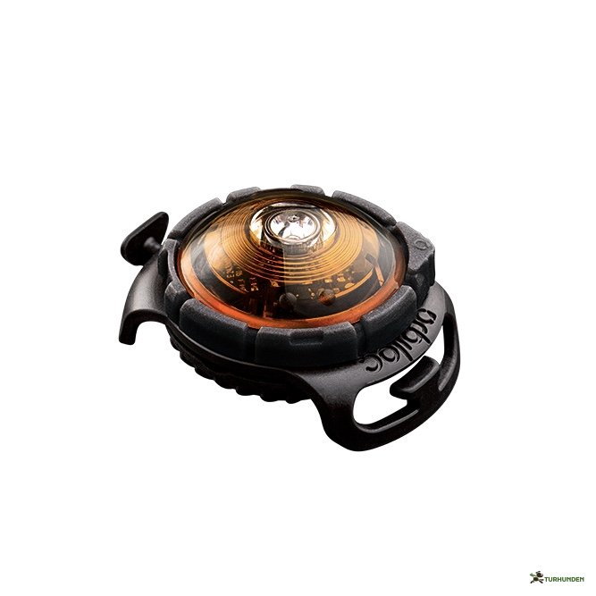 Orbiloc Dog Dual - Amber