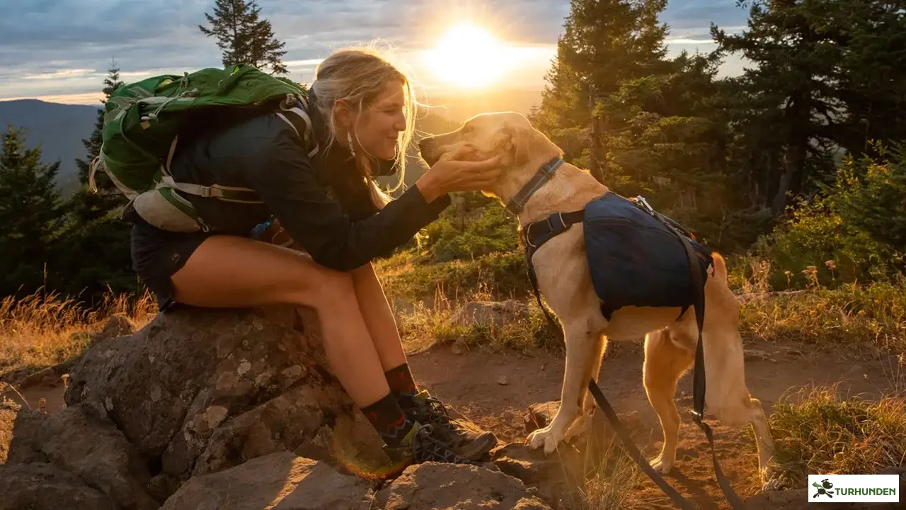 Switchback Line, R�d