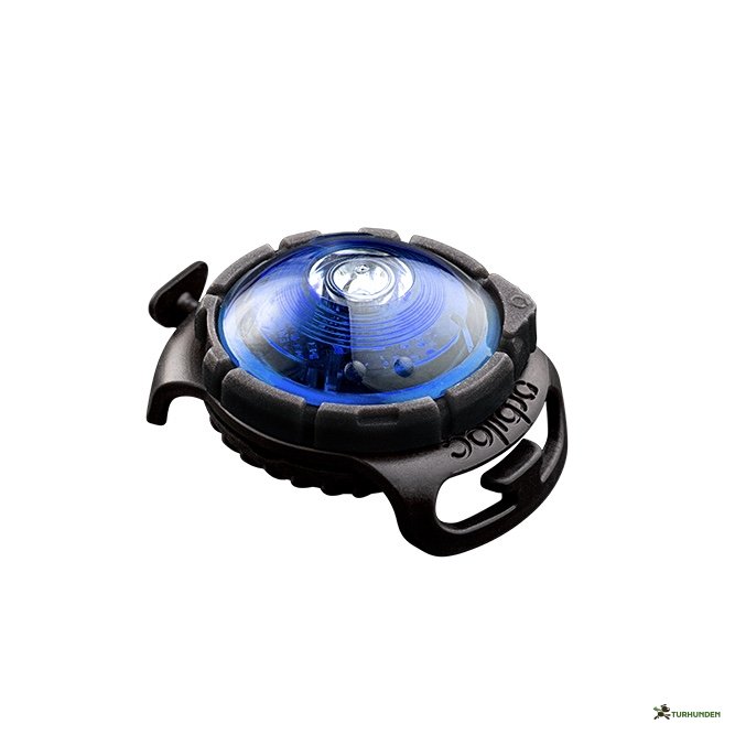 Orbiloc Dog Dual - Bl�