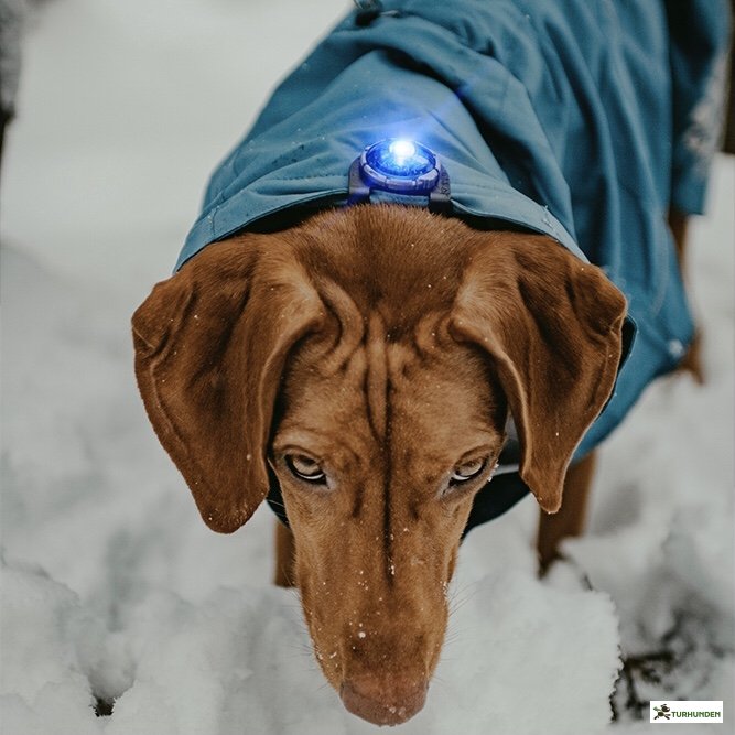 Orbiloc Dog Dual - Bl�