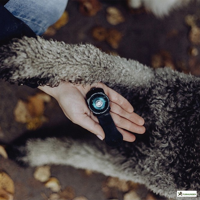 Orbiloc Dog Dual - Turkis