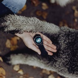 Orbiloc Dog Dual - Turkis