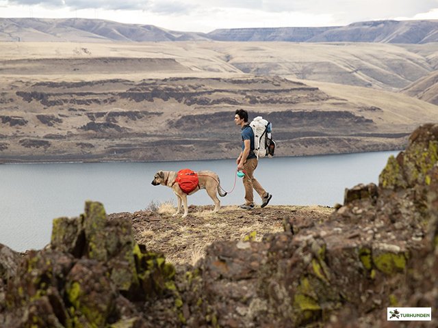 Ruffwear Palisades Multiday Pack