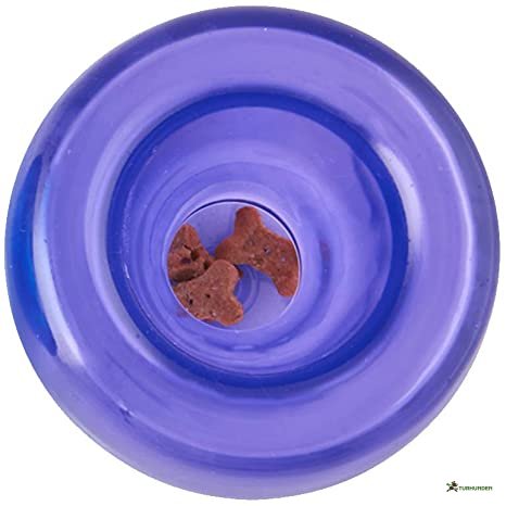 Outward Hound - Lil' Snoop