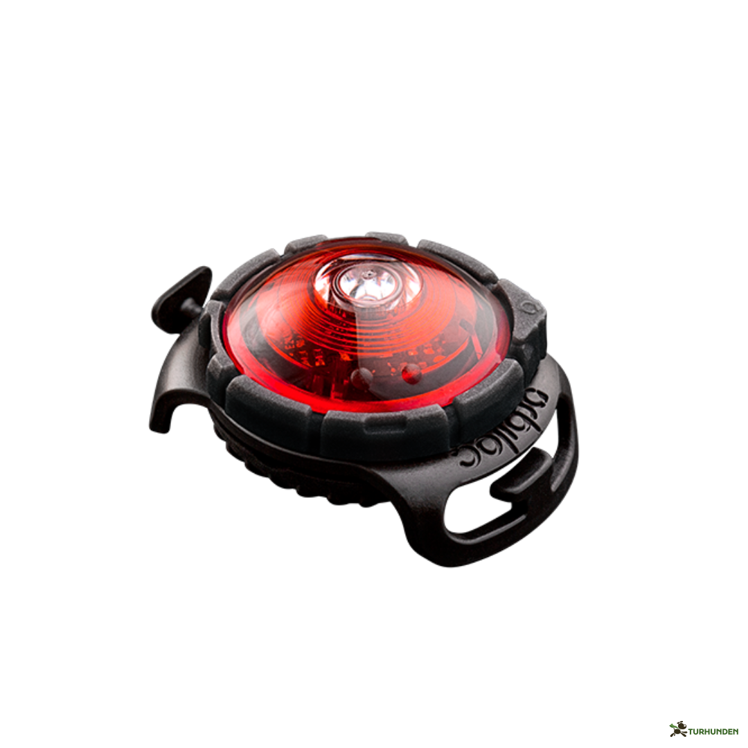 Orbiloc Dog Dual - Rd