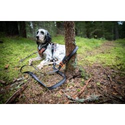 Non-stop dogwear Touring Bungee Adjustable 2,1