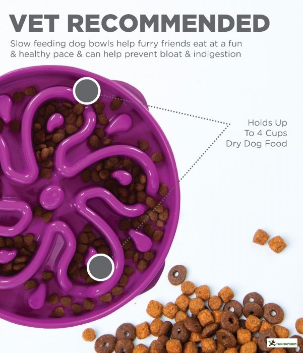 Fun Feeder Slo Bowl, lilla