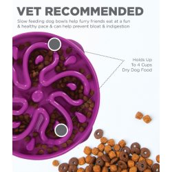 Fun Feeder Slo Bowl, lilla