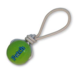Planet Dog Fetch Bold