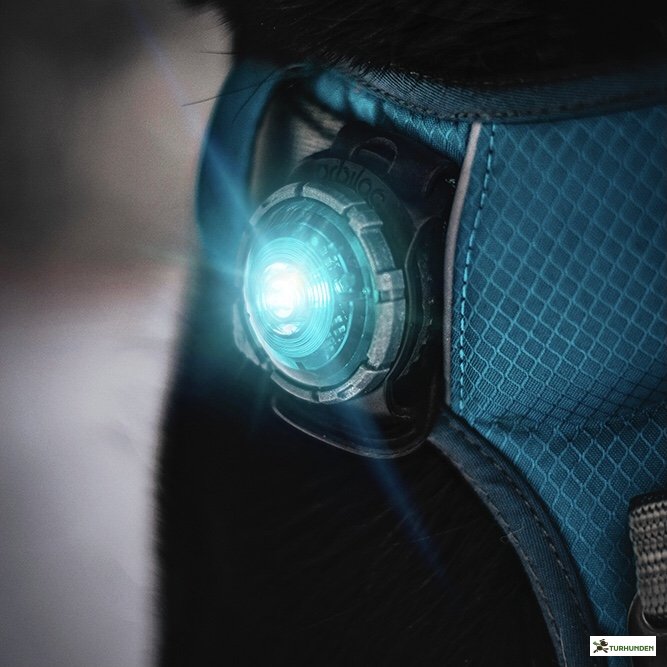 Orbiloc Dog Dual - Turkis