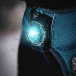 Orbiloc Dog Dual - Turkis