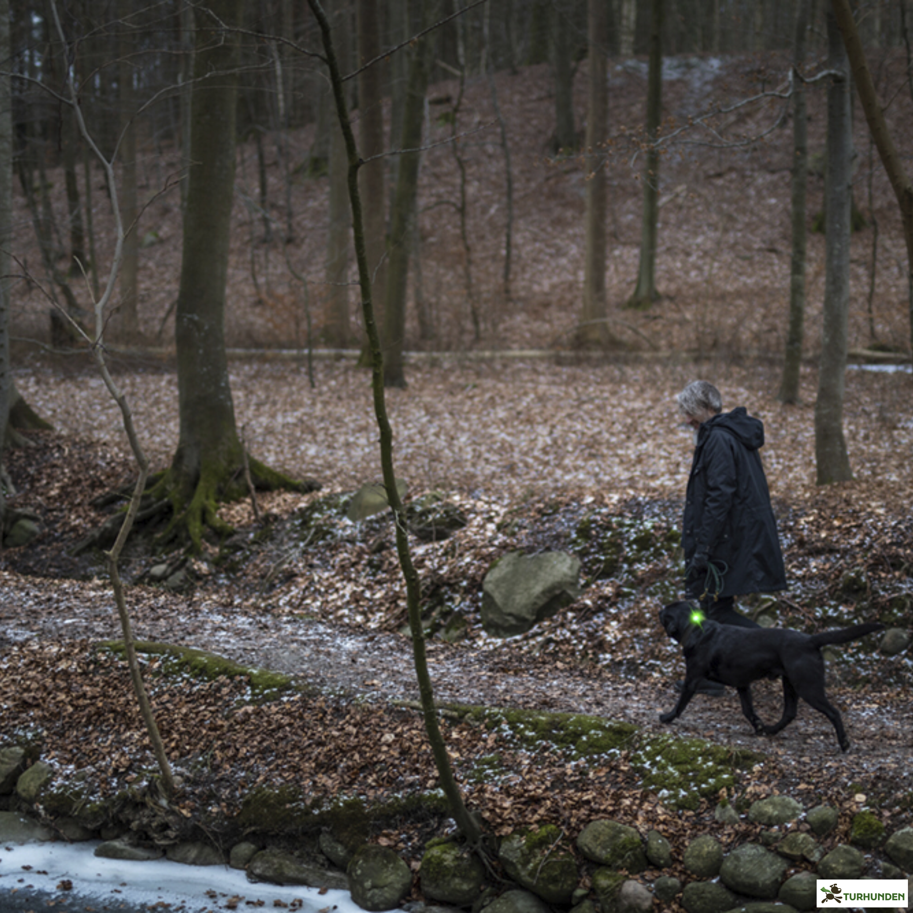 Orbiloc Dog Dual - Grn