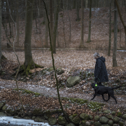 Orbiloc Dog Dual - Grn