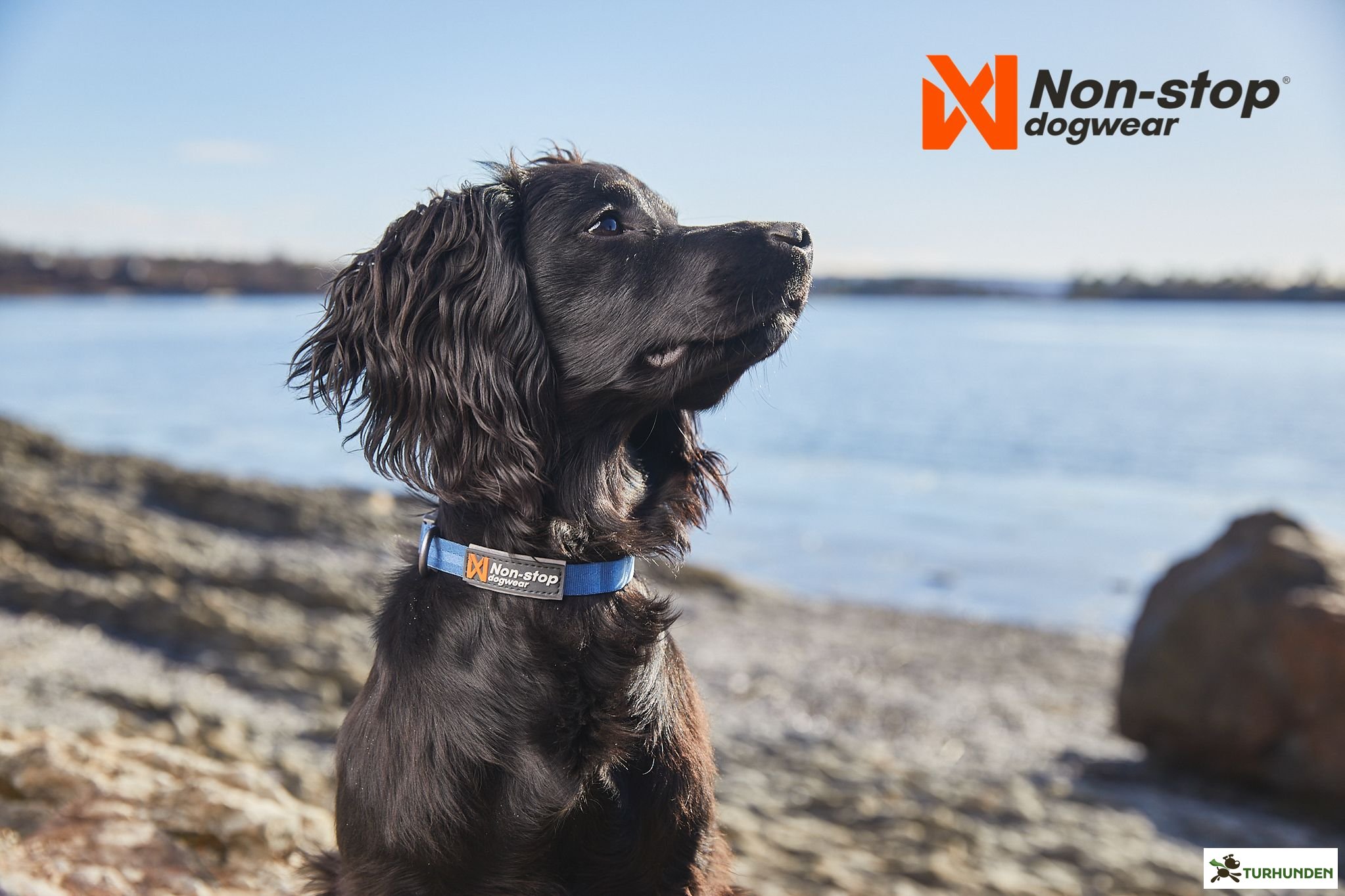 Non-stop dogwear Tumble Collar - Bl