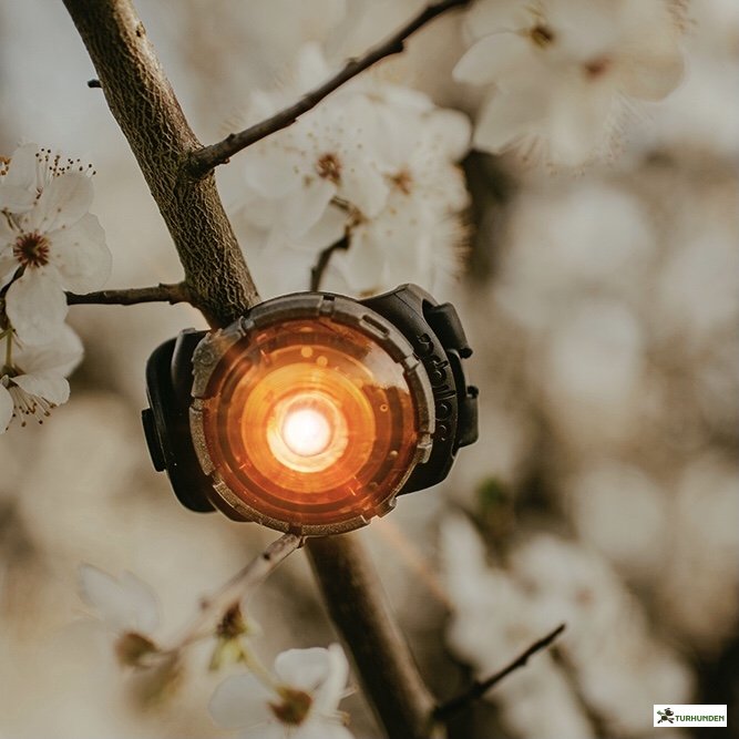 Orbiloc Dog Dual - Amber