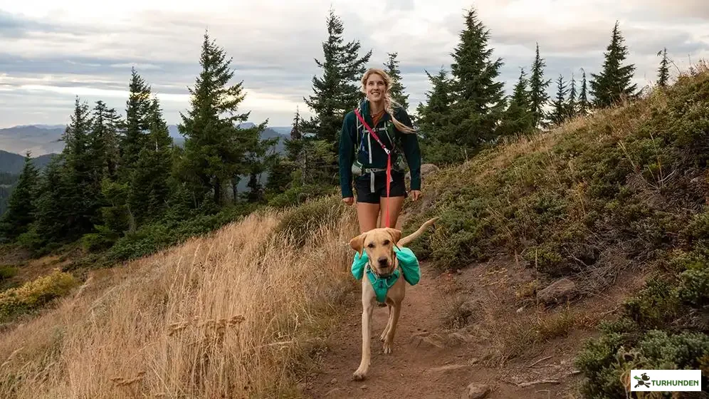 Switchback Line, R�d