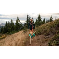 Switchback Line, R�d