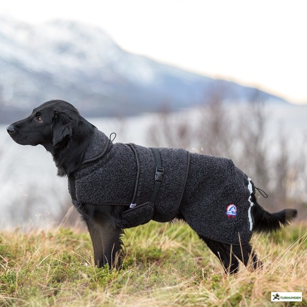 Canelana - Ambassadr Ulddkken