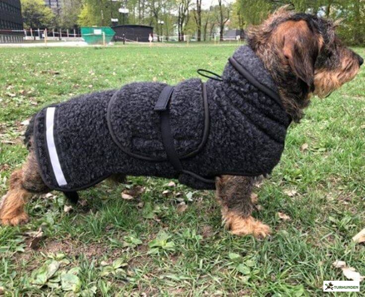 Canelana - Ambassadr Ulddkken