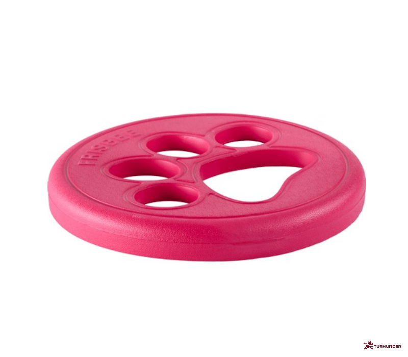 Companion Auqa Paw Disk